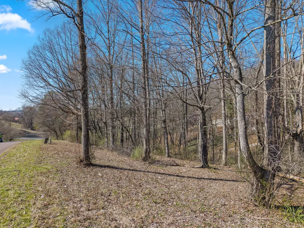 12 County Road 321 Niota TN 37826
