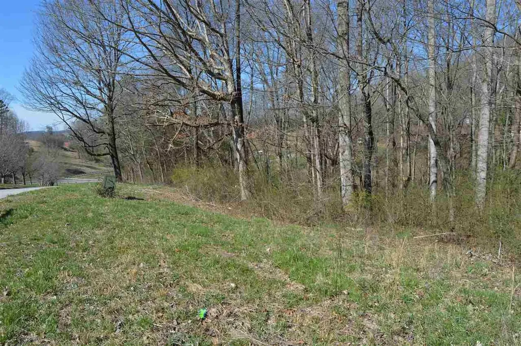 12 County Road 321 Niota TN 37826