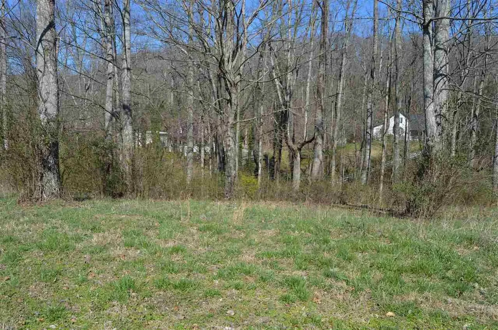 12 County Road 321 Niota TN 37826