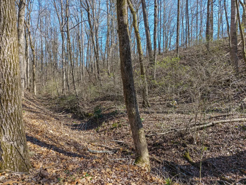 12 County Road 321 Niota TN 37826