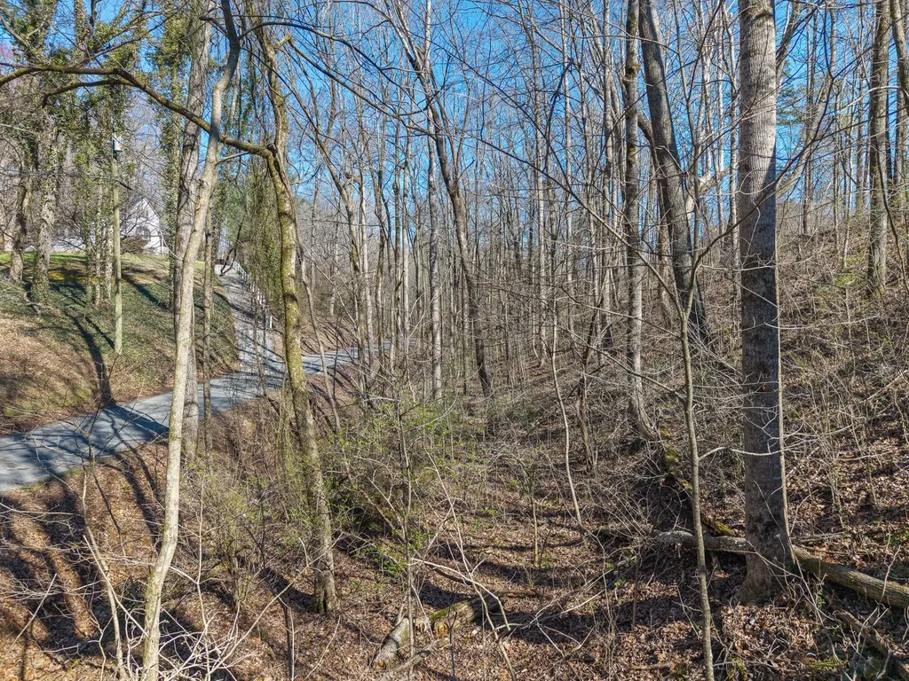 12 County Road 321 Niota TN 37826