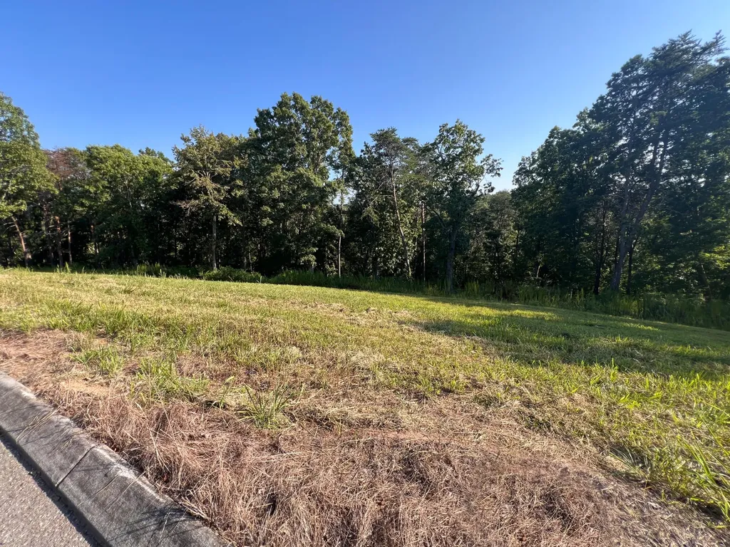 29 Watauga Lane Birchwood TN 37308