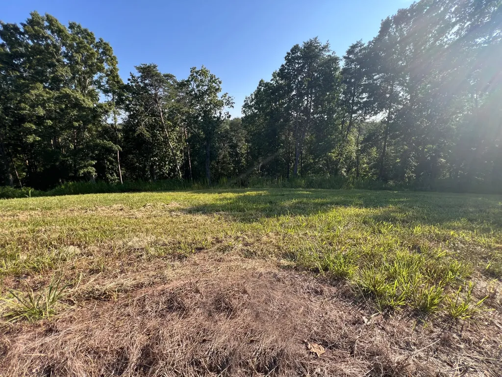 29 Watauga Lane Birchwood TN 37308