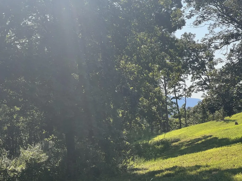 28 Watauga Lane Birchwood TN 37308