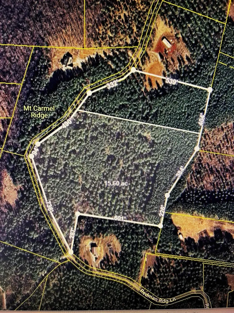 1553 Redman Ridge Lane Decatur TN 37322