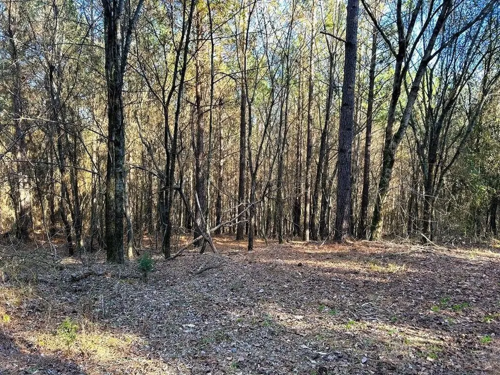 1553 Redman Ridge Lane Decatur TN 37322