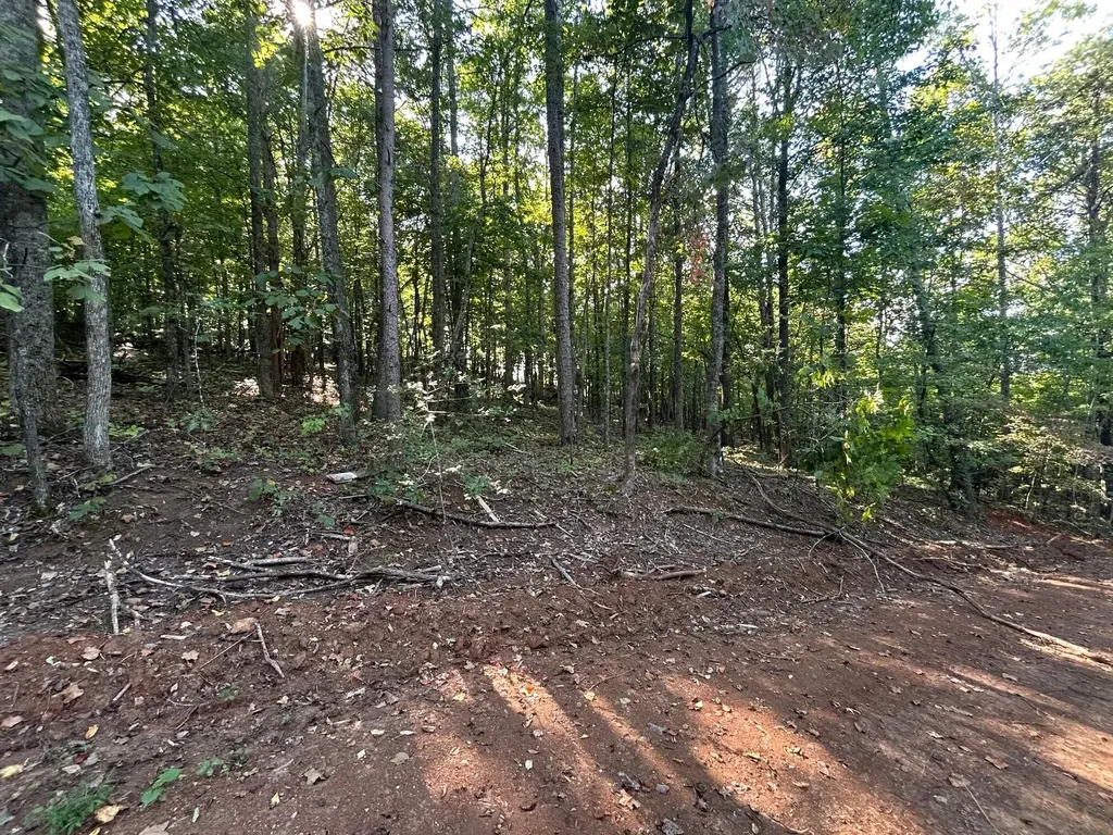 7 Pleasant Hill Road Ten Mile TN 37880
