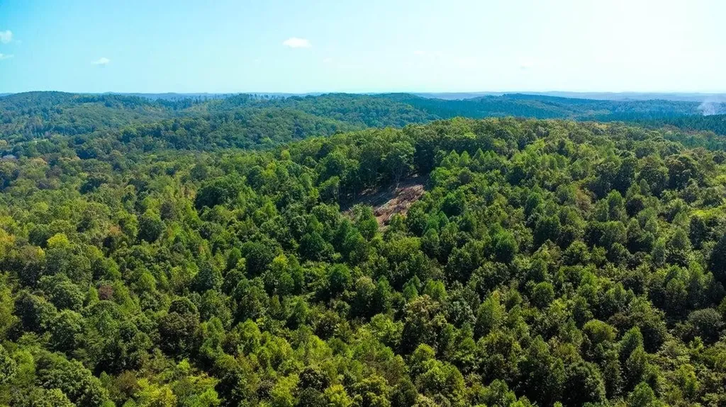 7 Pleasant Hill Road Ten Mile TN 37880