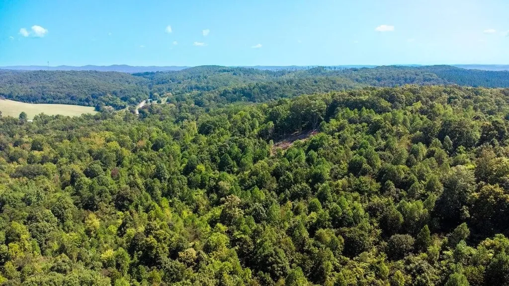 7 Pleasant Hill Road Ten Mile TN 37880