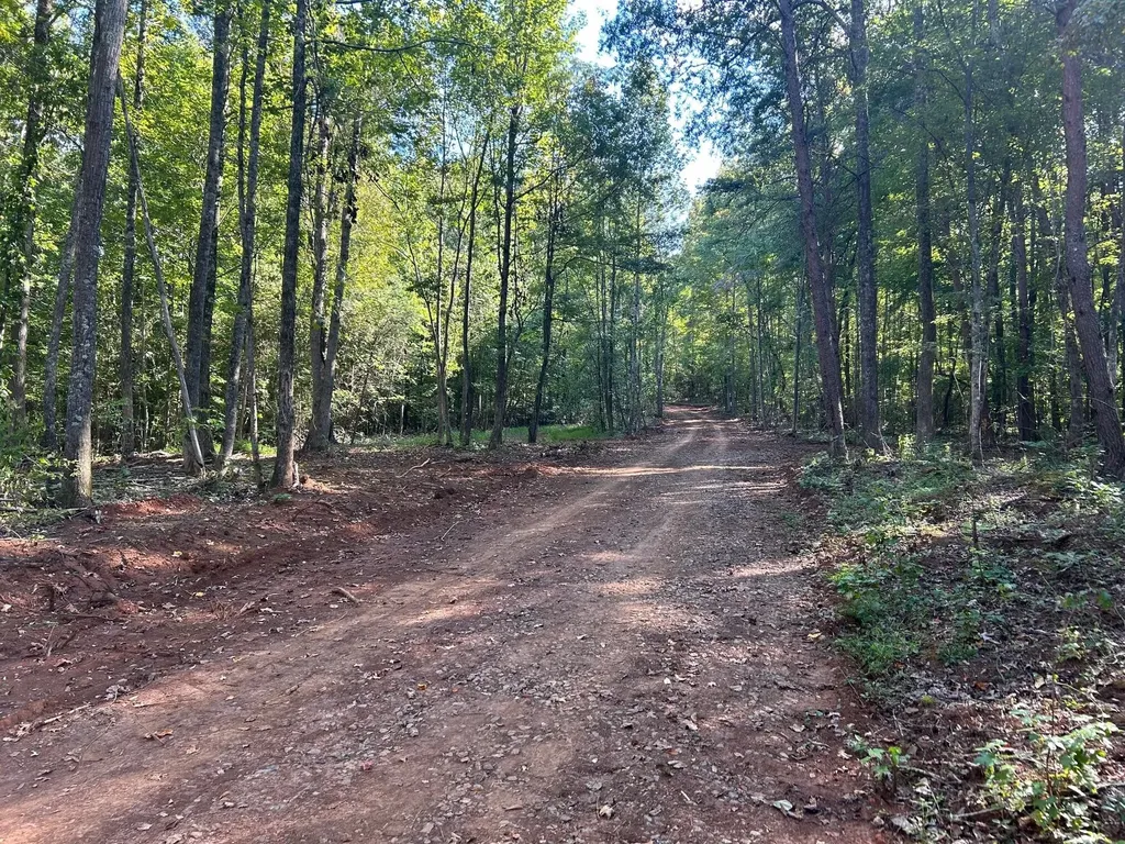7 Pleasant Hill Road Ten Mile TN 37880