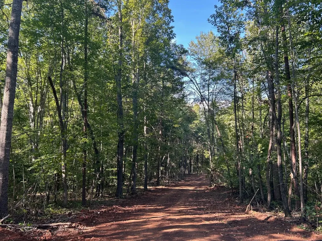 7 Pleasant Hill Road Ten Mile TN 37880