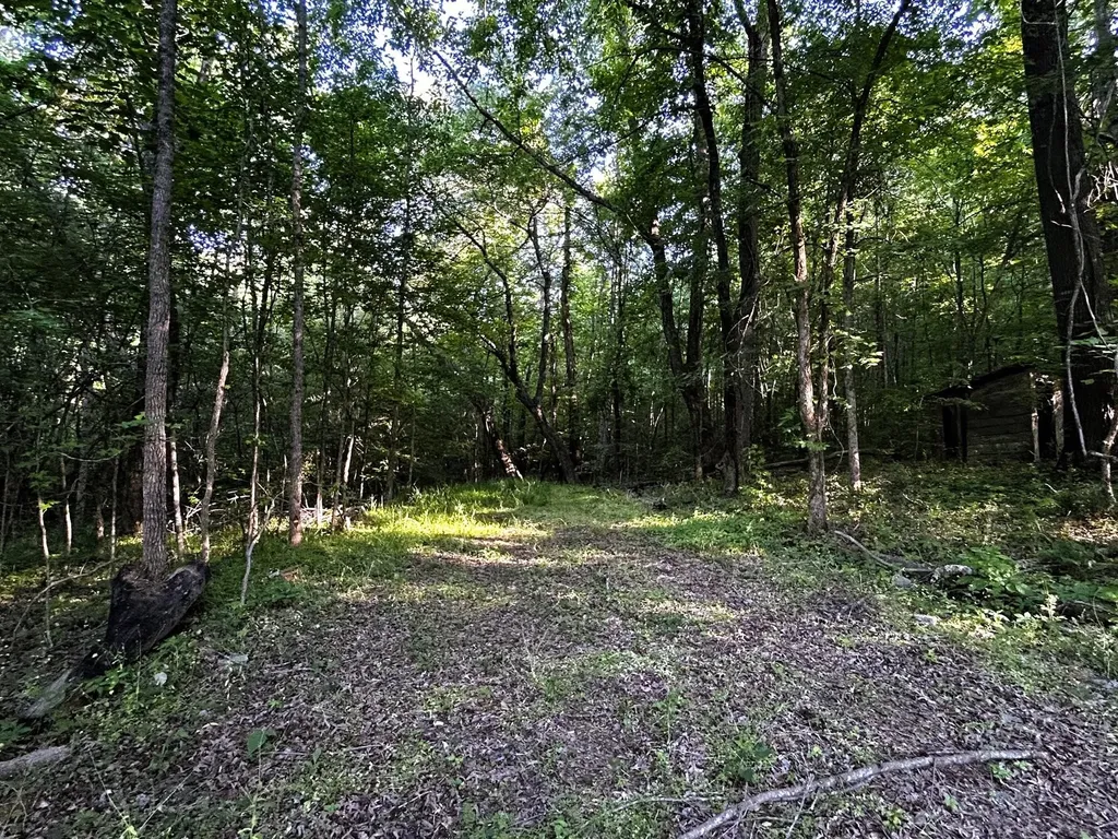 9 Pleasant Hill Road Ten Mile TN 37880