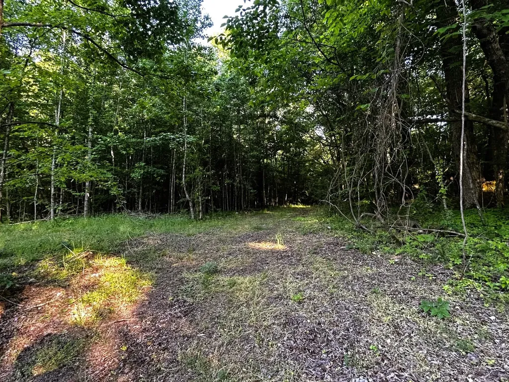 9 Pleasant Hill Road Ten Mile TN 37880