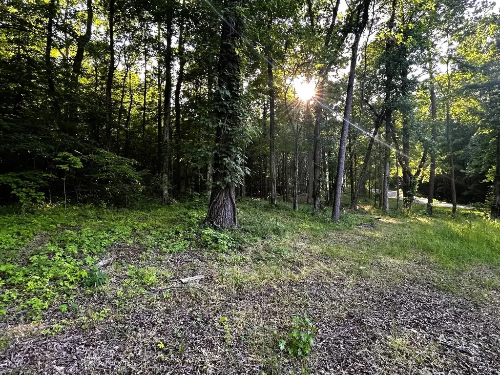 9 Pleasant Hill Road Ten Mile TN 37880