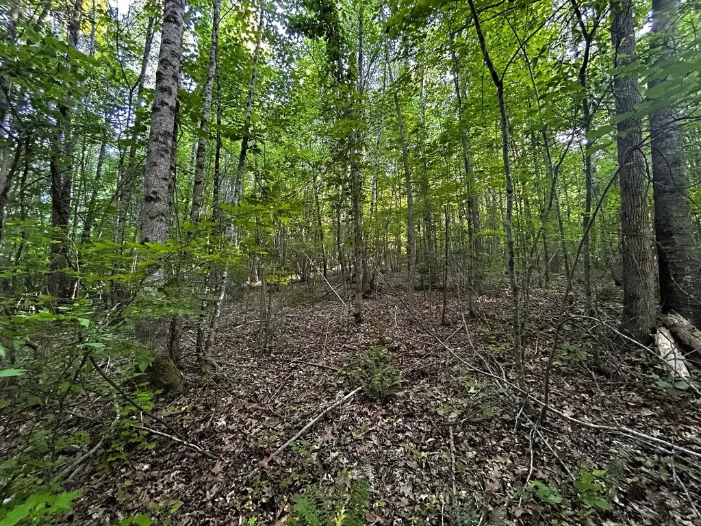 9 Pleasant Hill Road Ten Mile TN 37880