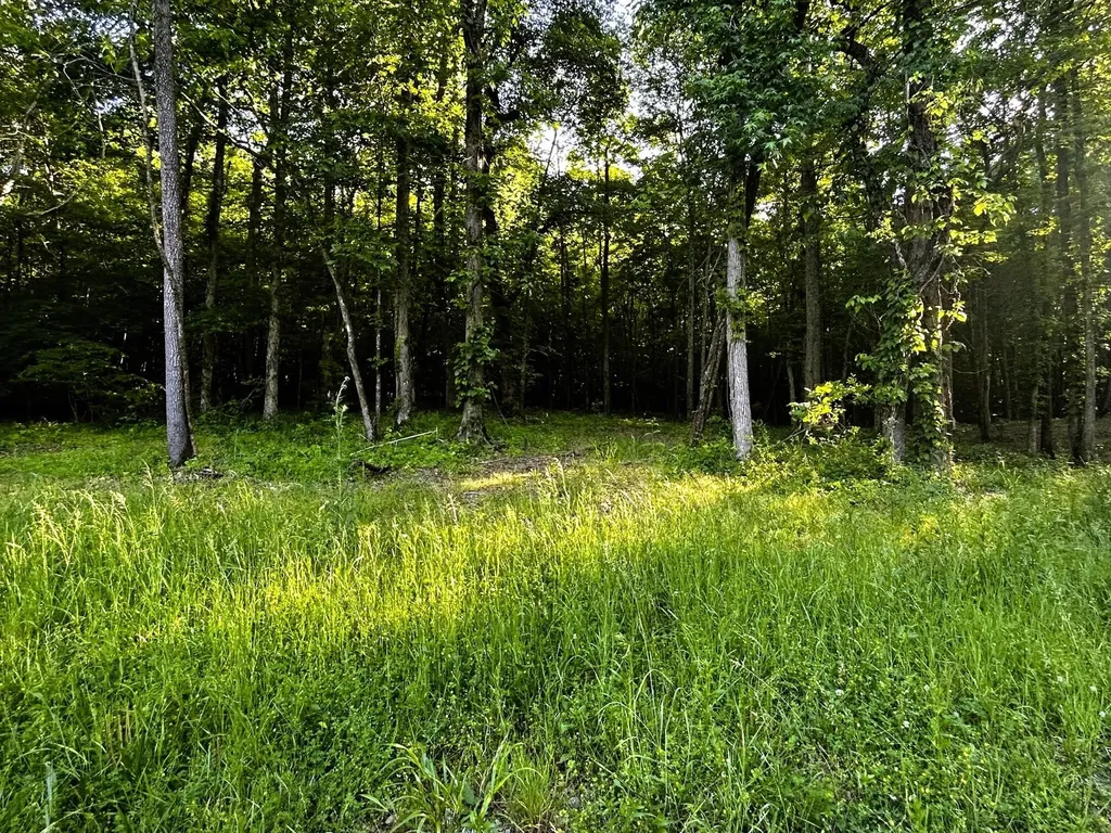 9 Pleasant Hill Road Ten Mile TN 37880