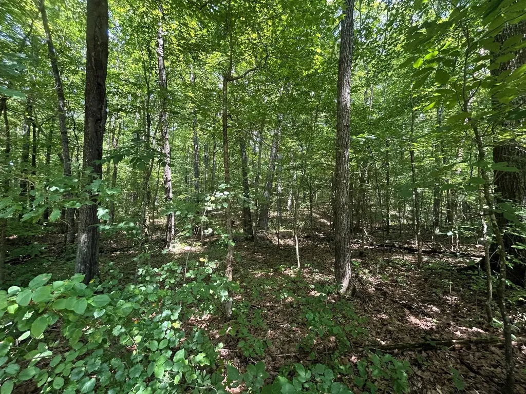 2 Highway 304 Ten Mile TN 37880