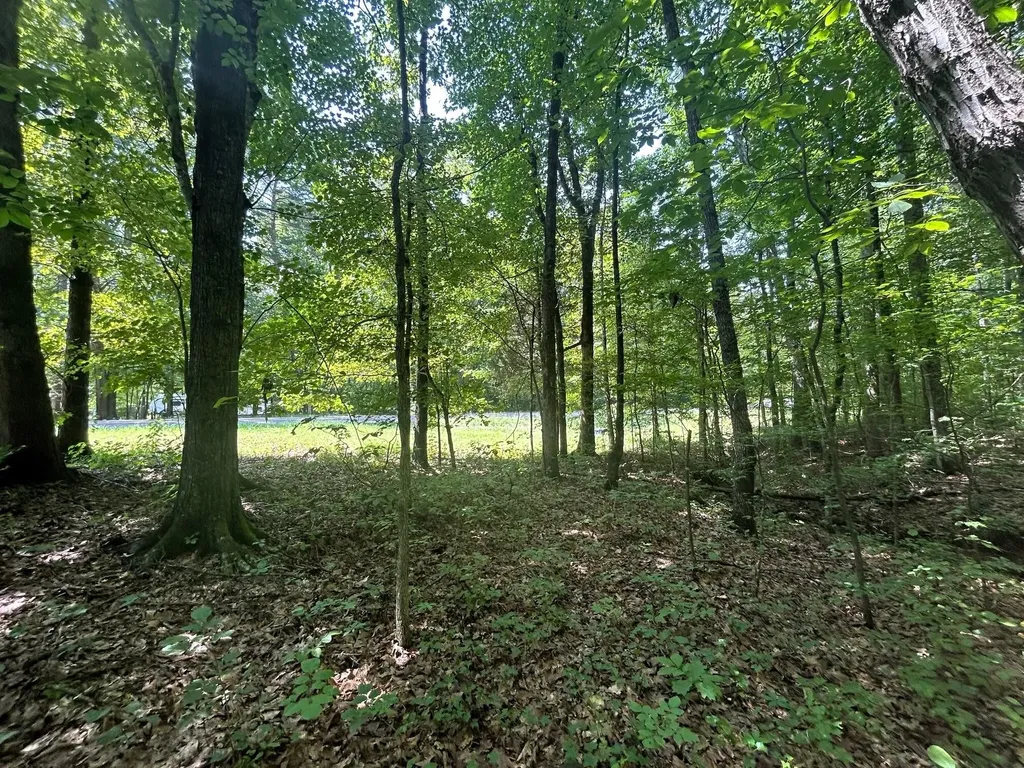 2 Highway 304 Ten Mile TN 37880