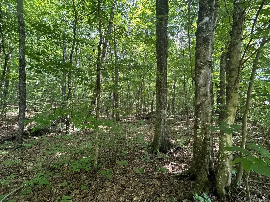 2 Highway 304 Ten Mile TN 37880