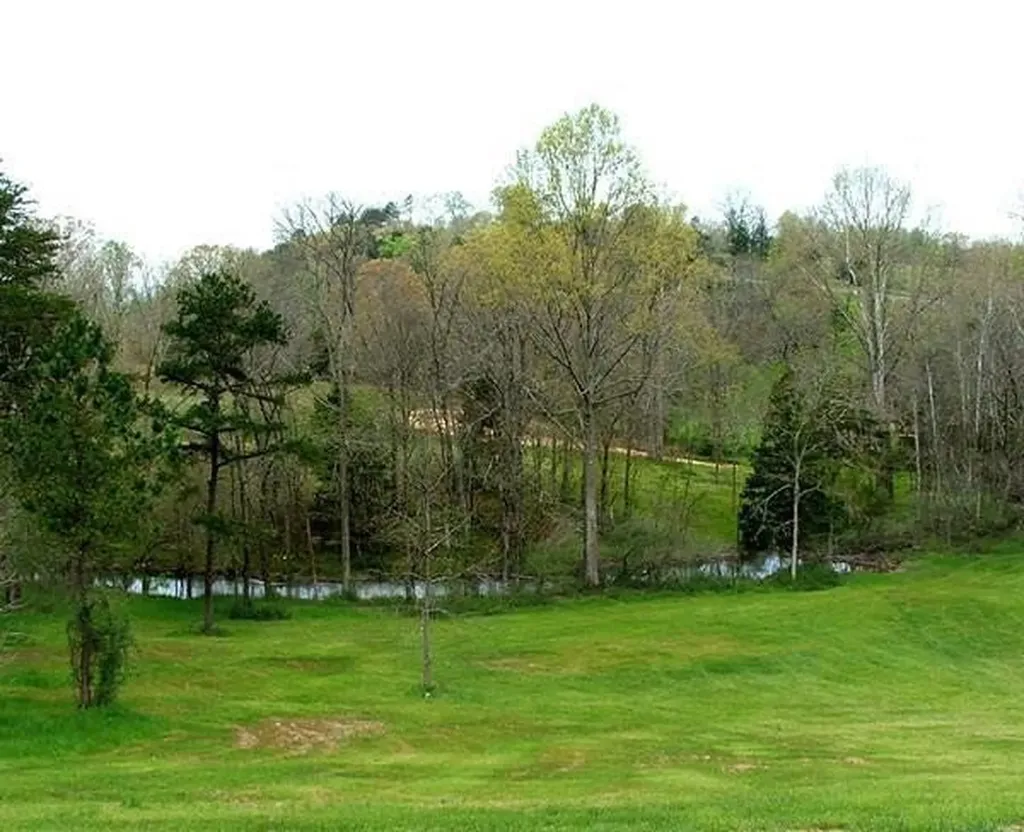53035307 Bear Creek Road Birchwood TN 37308
