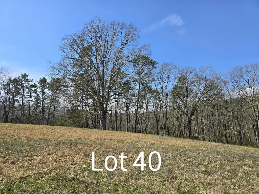 53035307 Bear Creek Road Birchwood TN 37308