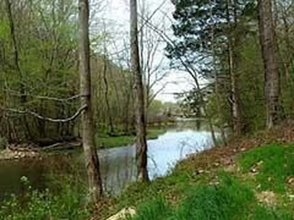 53035307 Bear Creek Road Birchwood TN 37308