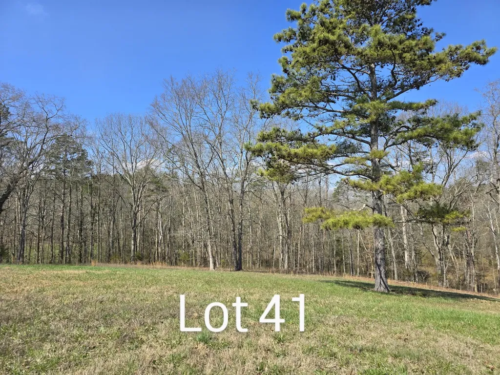 53035307 Bear Creek Road Birchwood TN 37308