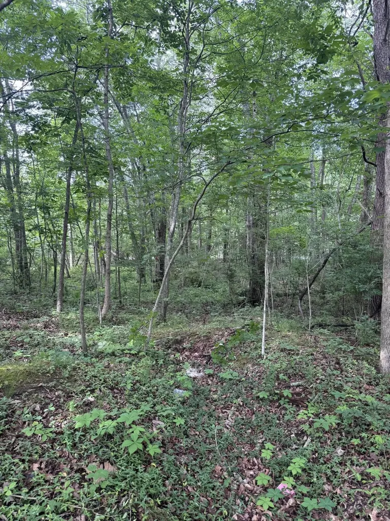 119 Hampshire Lane Crossville TN 38558