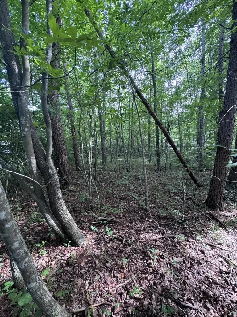 119 Hampshire Lane Crossville TN 38558