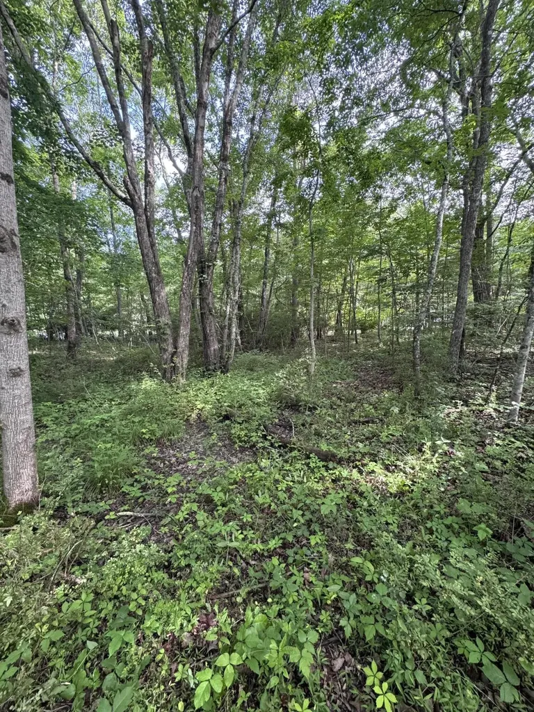 119 Hampshire Lane Crossville TN 38558