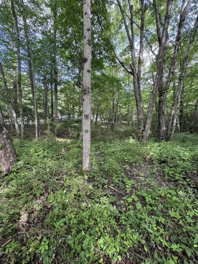 119 Hampshire Lane Crossville TN 38558
