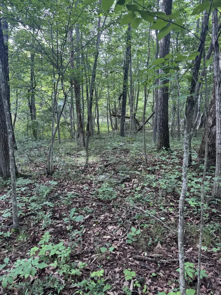 119 Hampshire Lane Crossville TN 38558