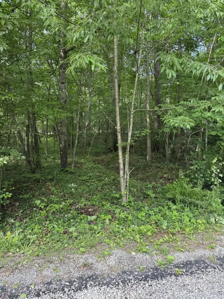 119 Hampshire Lane Crossville TN 38558