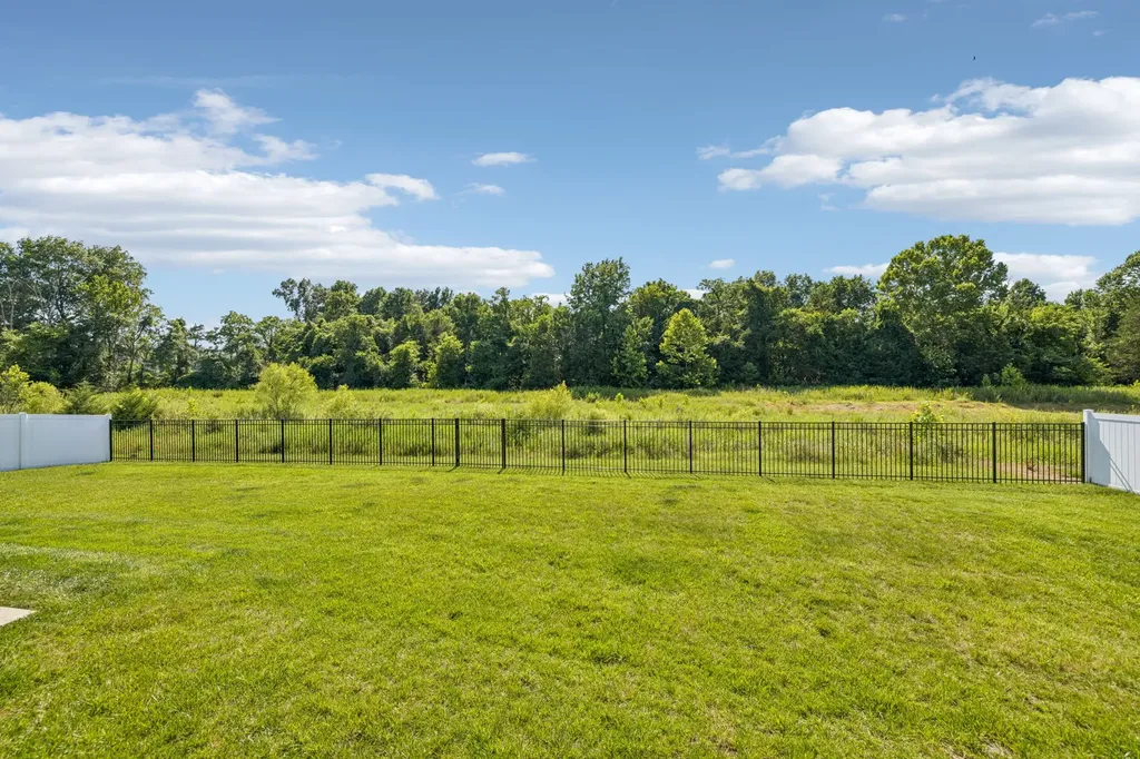 1827 Rhonda Drive Christiana TN 37037