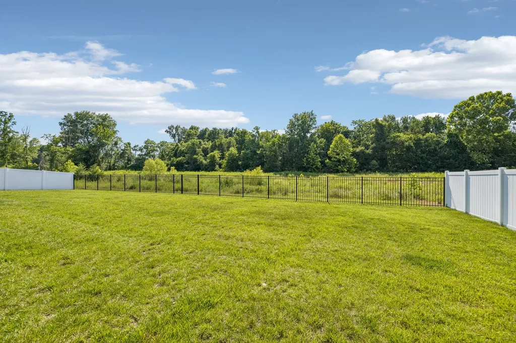 1827 Rhonda Drive Christiana TN 37037