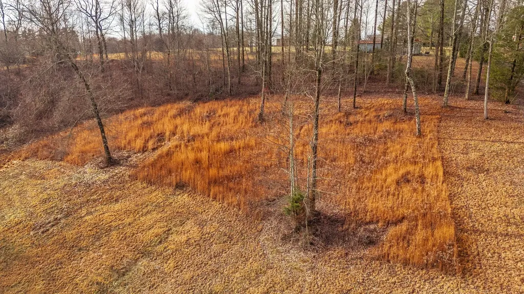 15 Raccoon Road Westmoreland TN 37186