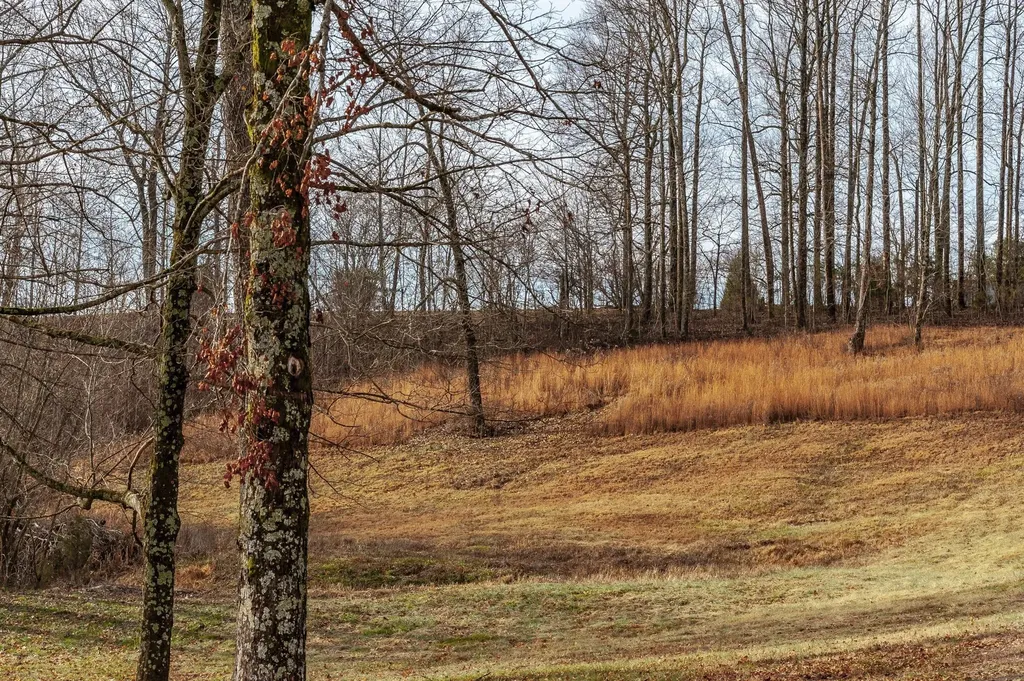 15 Raccoon Road Westmoreland TN 37186