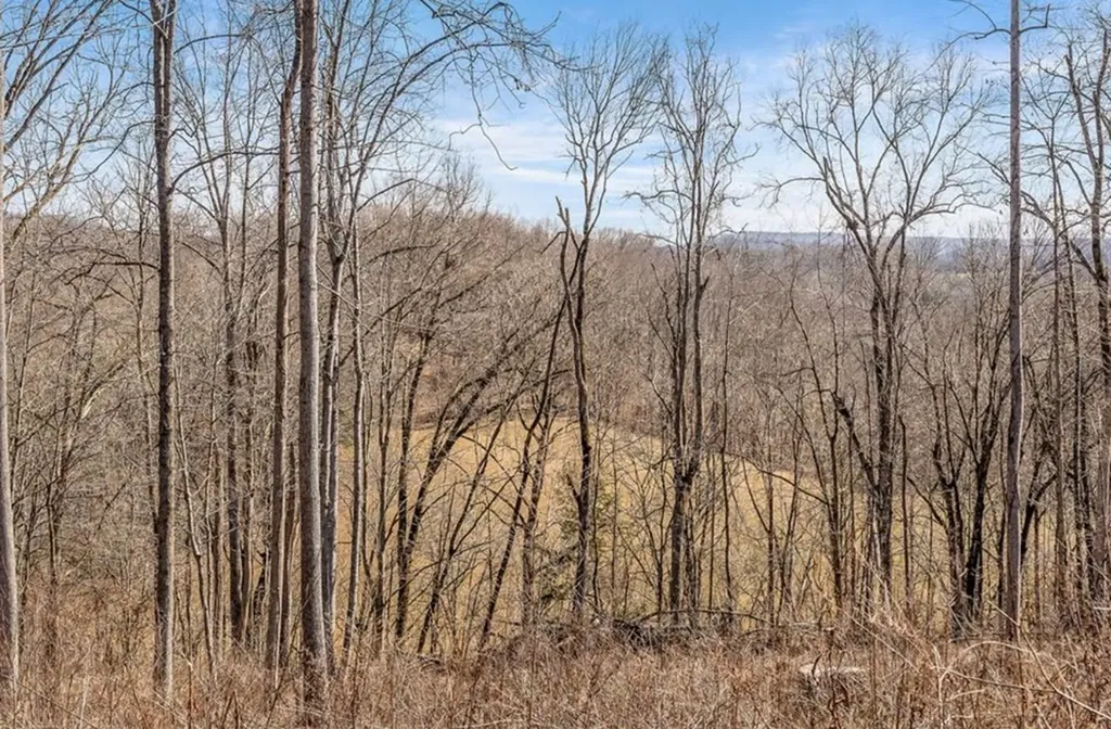 0 Forest Circle Sparta TN 38583