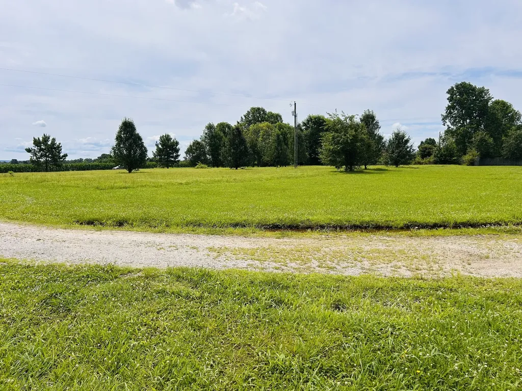 183 Grosch Drive Manchester TN 37355