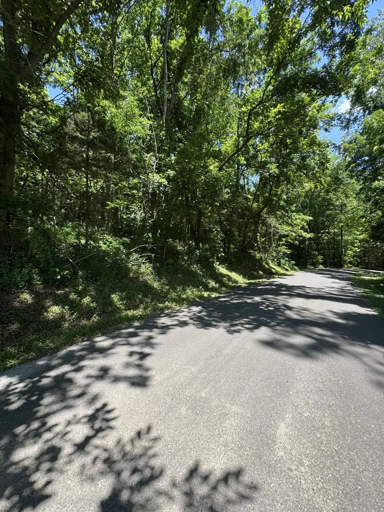 0 Horseshoe Road Cross Plains TN 37049