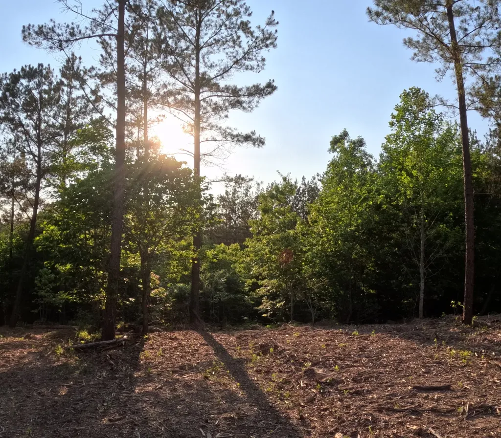 1882 Hillbrook Drive Linden TN 37096