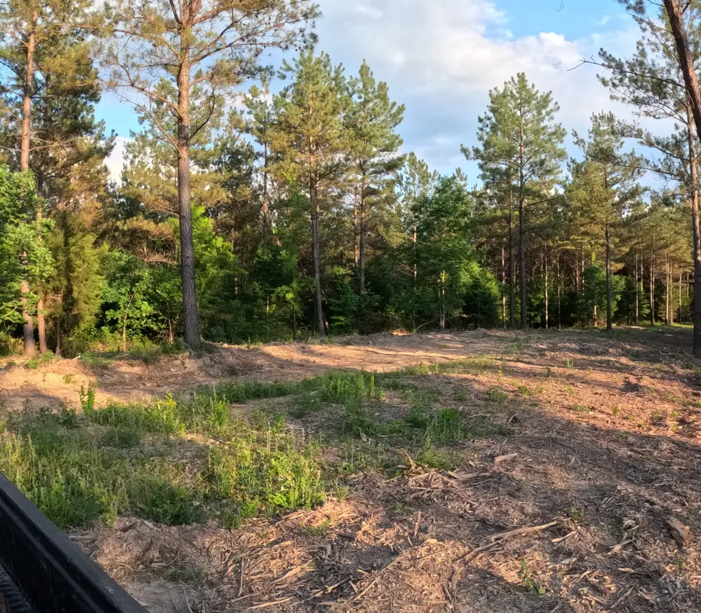 1882 Hillbrook Drive Linden TN 37096