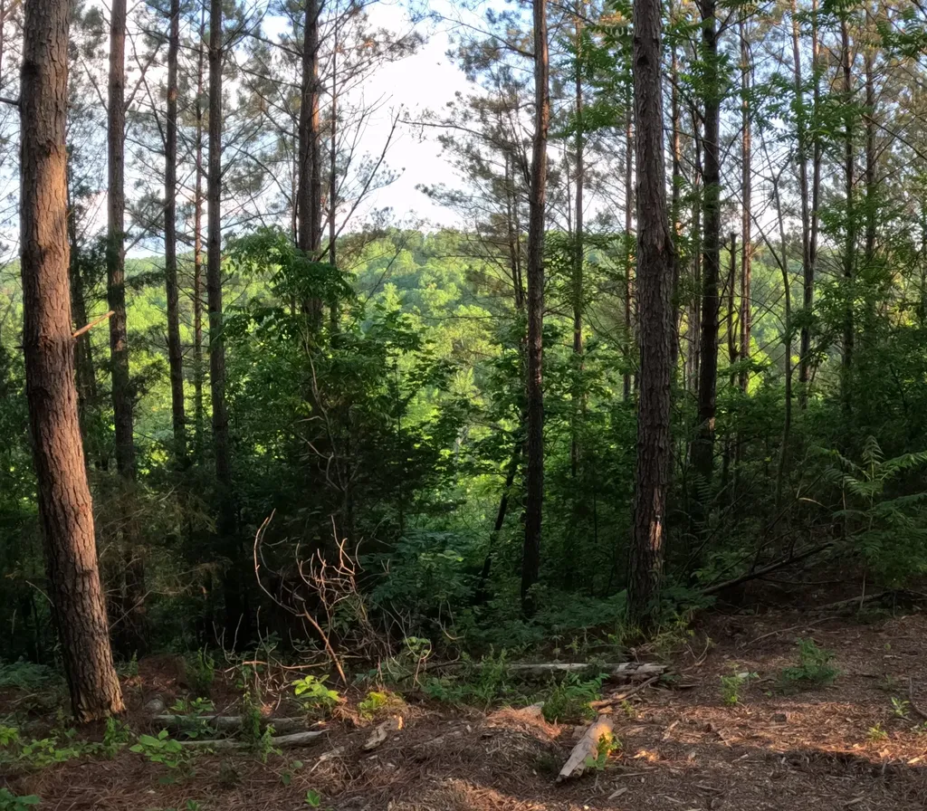 1882 Hillbrook Drive Linden TN 37096