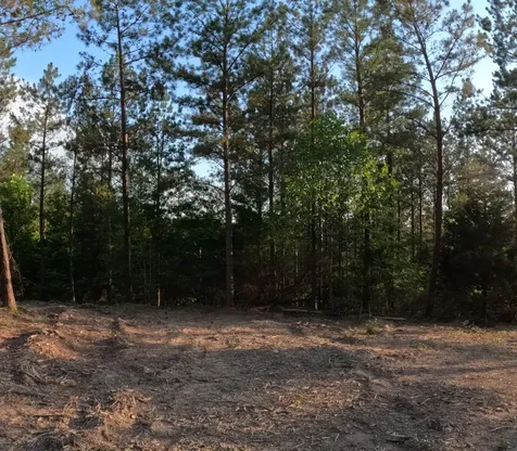 1882 Hillbrook Drive Linden TN 37096