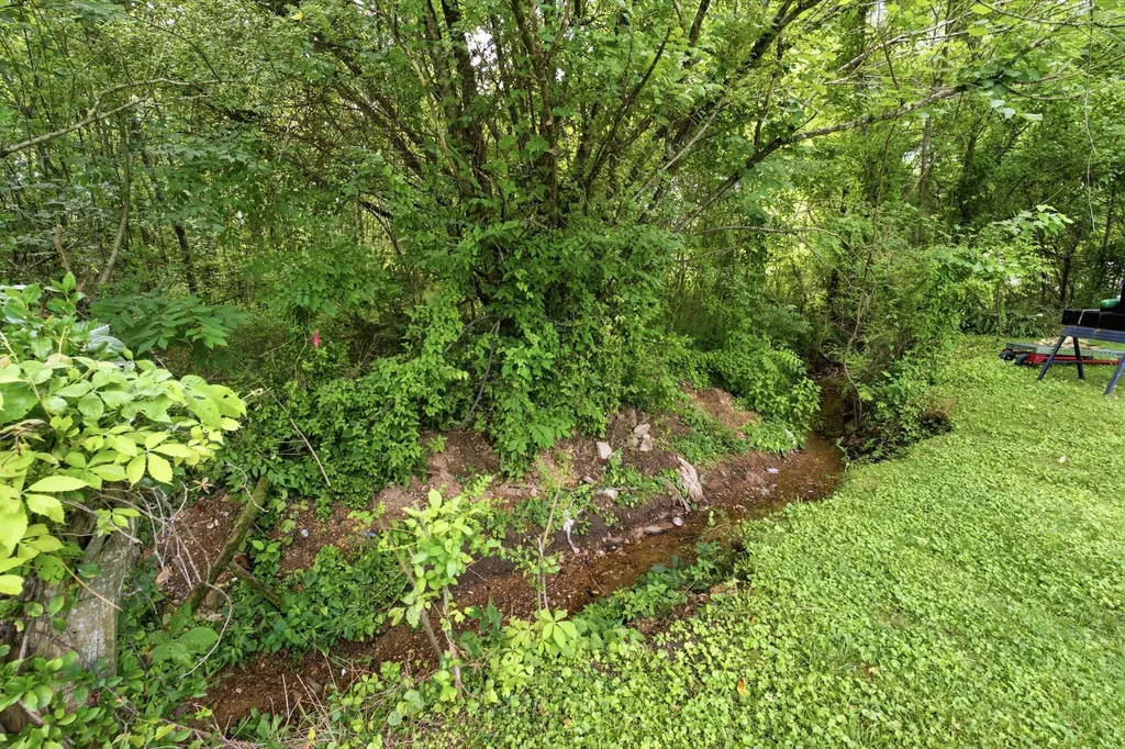 226 N Pine Street Hohenwald TN 38462