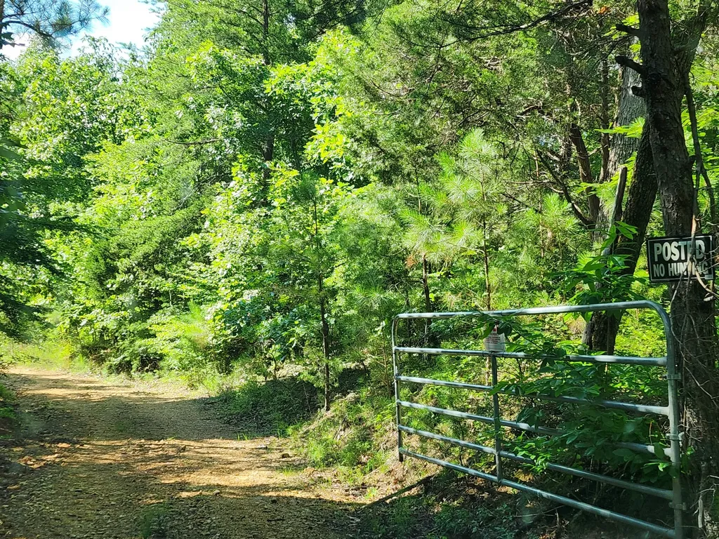 0 Sinking Creek Road Linden TN 37096