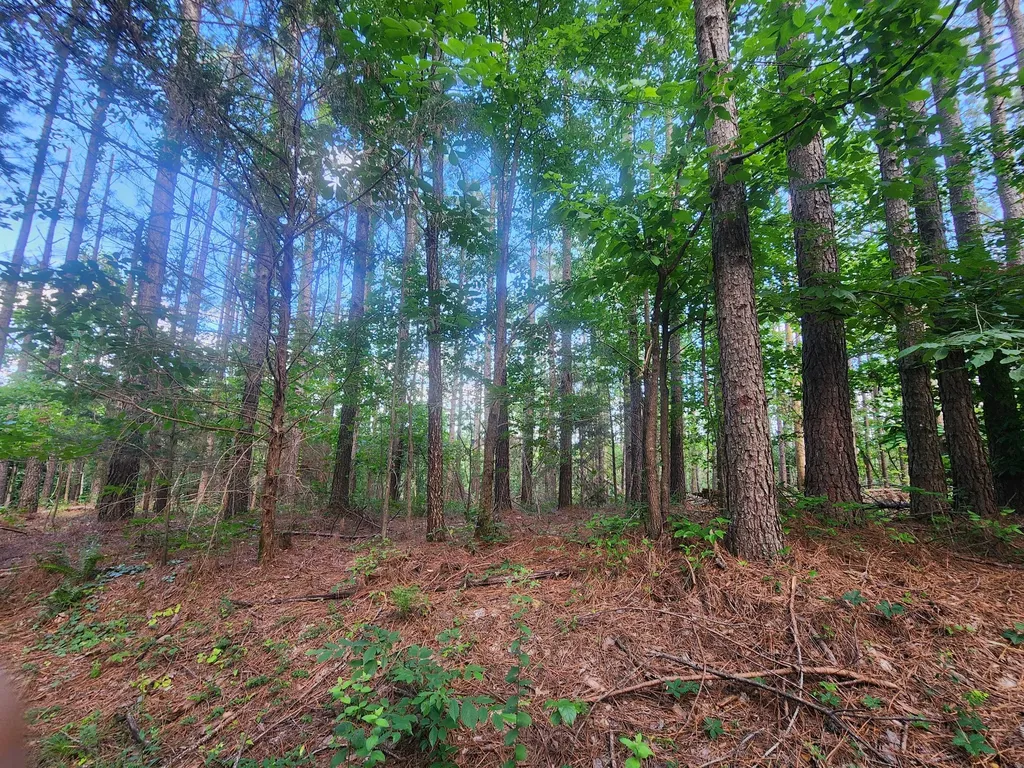 0 Sinking Creek Road Linden TN 37096