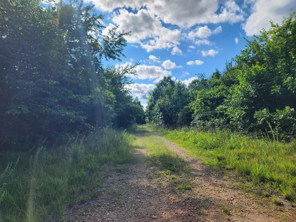 0 Sinking Creek Road Linden TN 37096