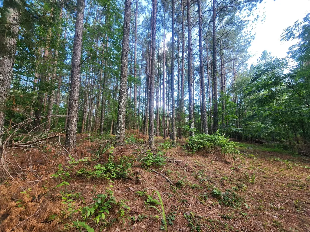 0 Sinking Creek Road Linden TN 37096