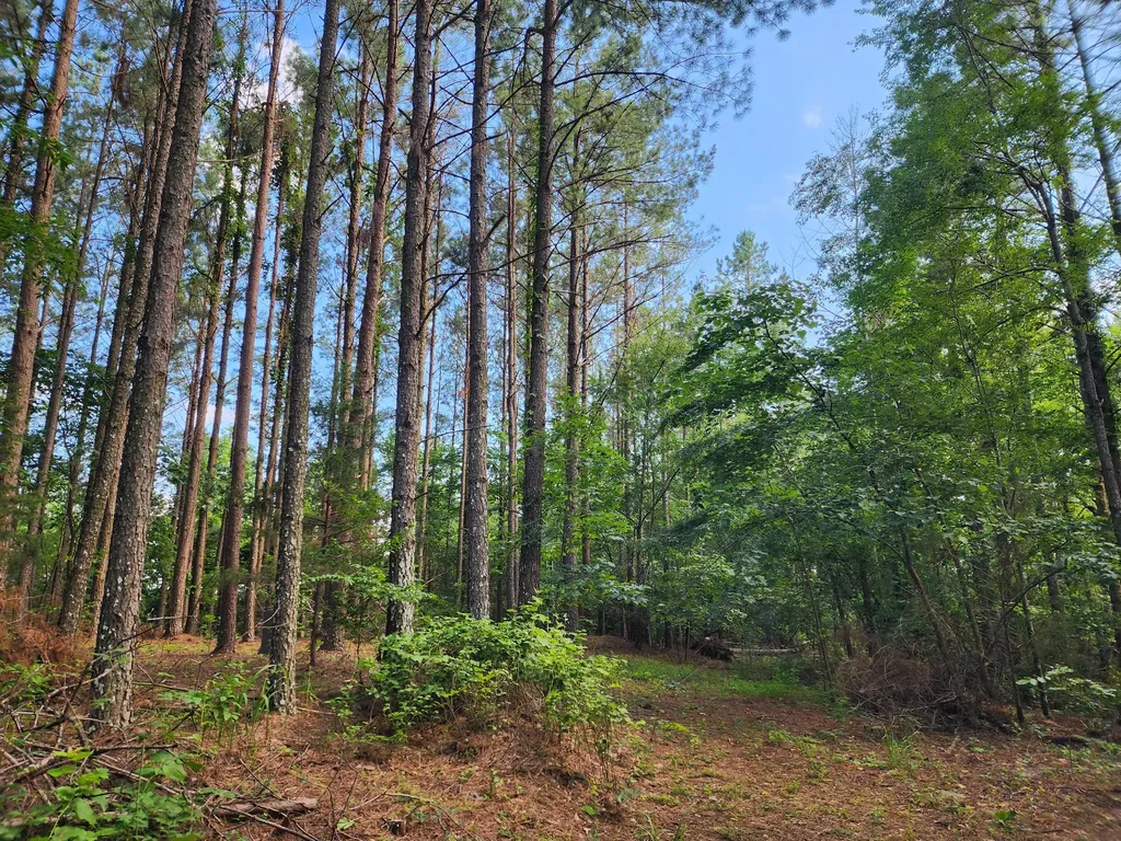 0 Sinking Creek Road Linden TN 37096